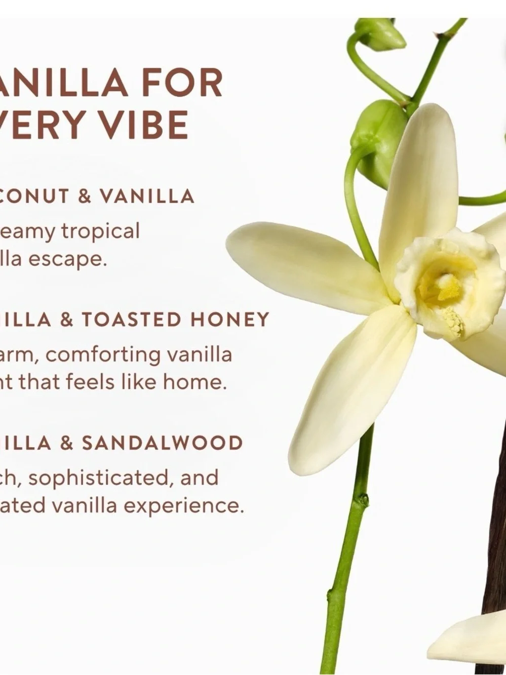 Native includes 	•	clear scented