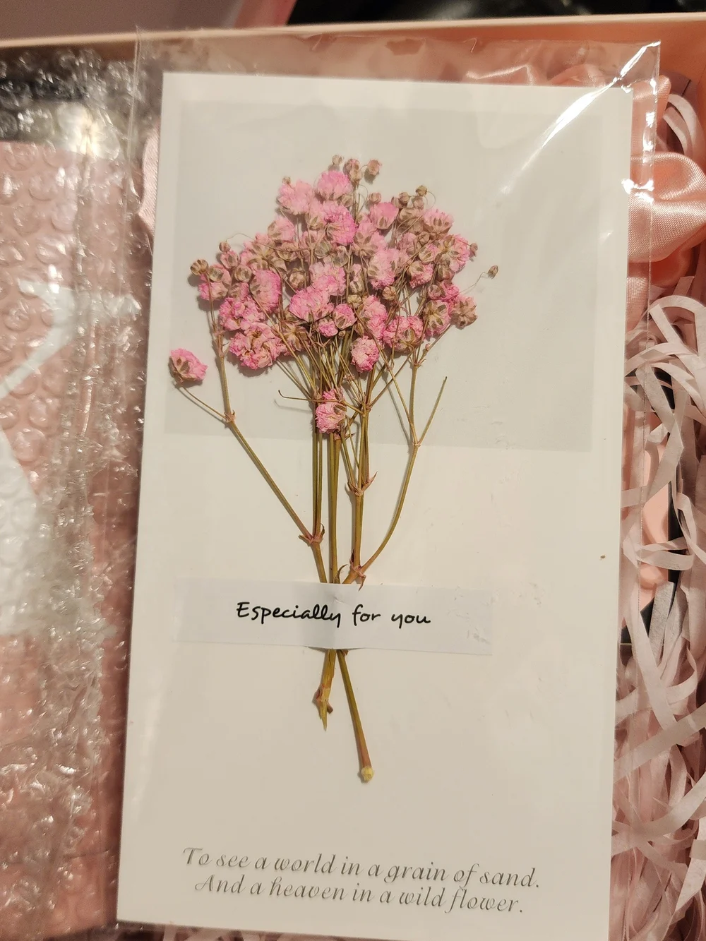 N/A deluxe pink