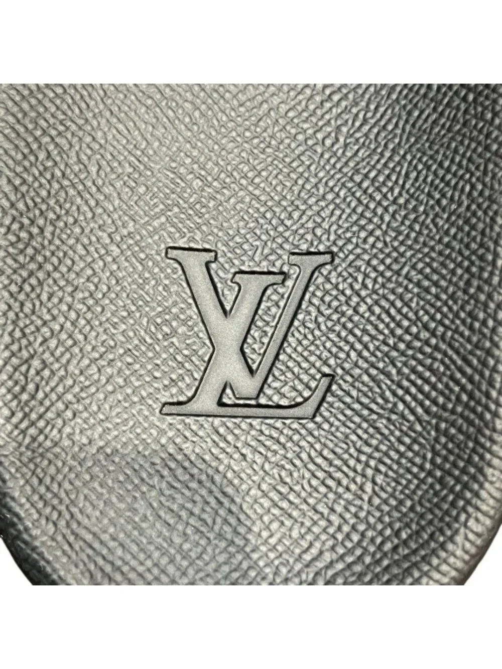 Louis Vuitton brand louis