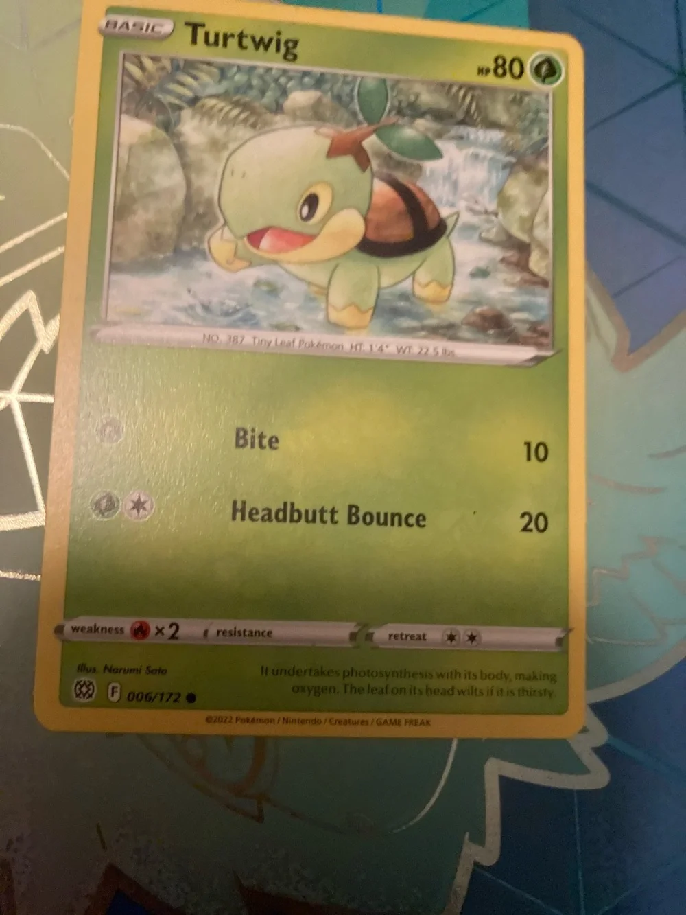 Pokemon official turtwig