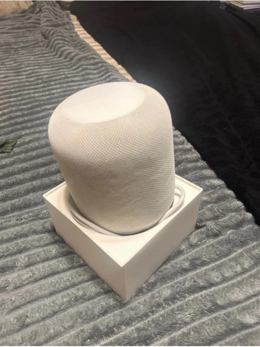 Apple opened box