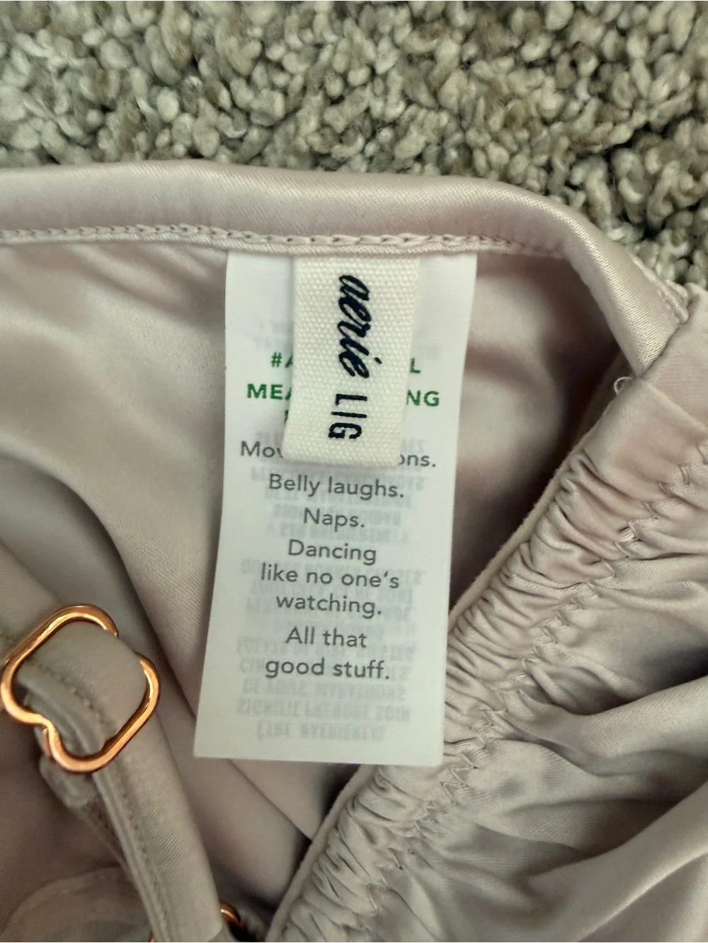 aerie brief sheen bralette