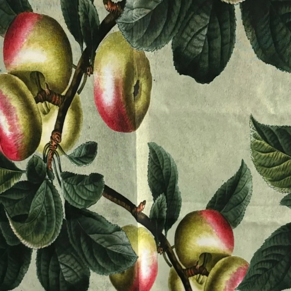 Wayfair stylish botanical