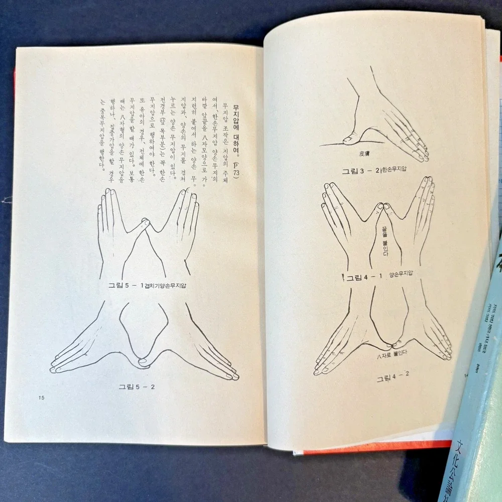 N/A cover shiatsu vintage
