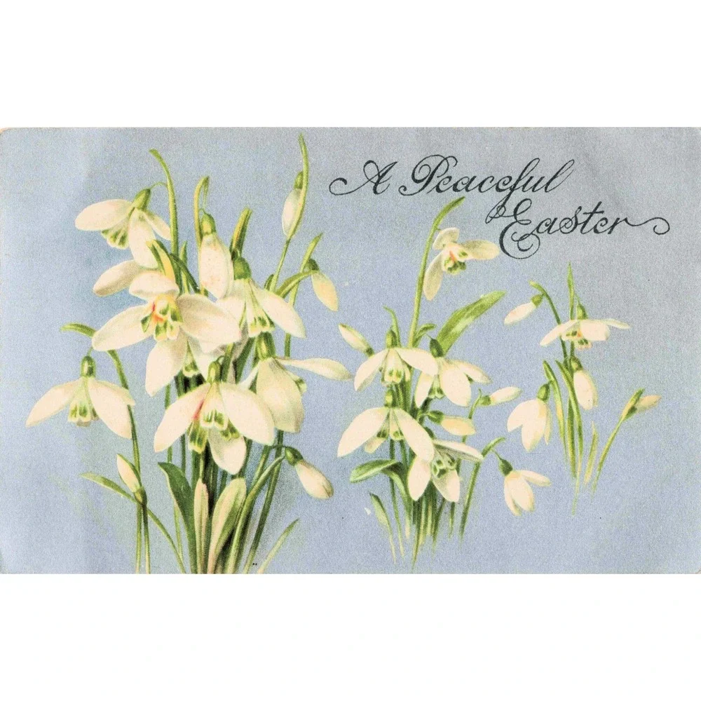 Antique Easter Postcard Snowdrops Flowers A Peaceful Easter Divided Back c1910