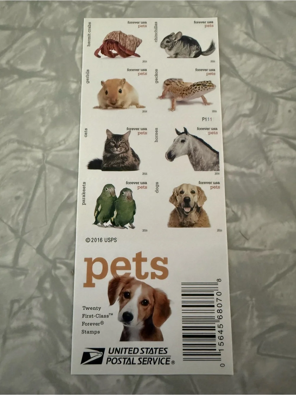 Pets Forever Stamps - White and Brown