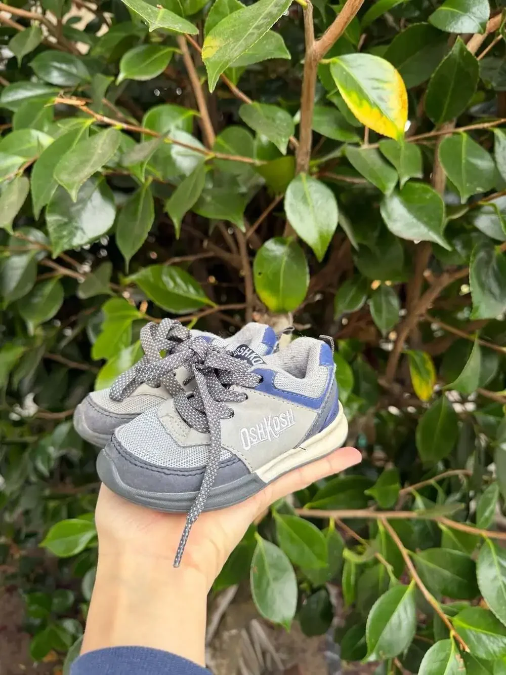 OshKosh Bgosh toe sneakers