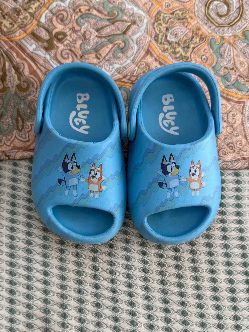 Bluey toddler comfort
