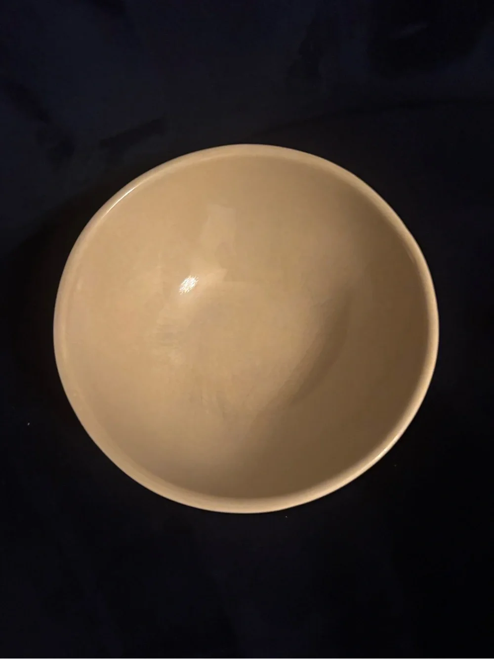 Pottery Barn elegant tan