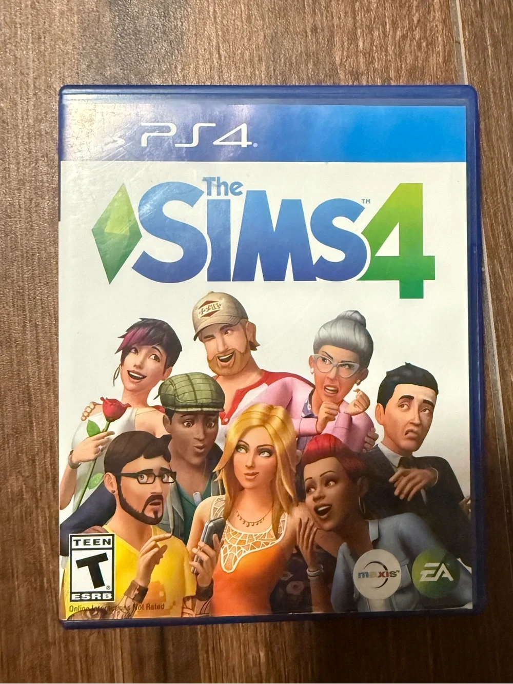 Sony as simulation