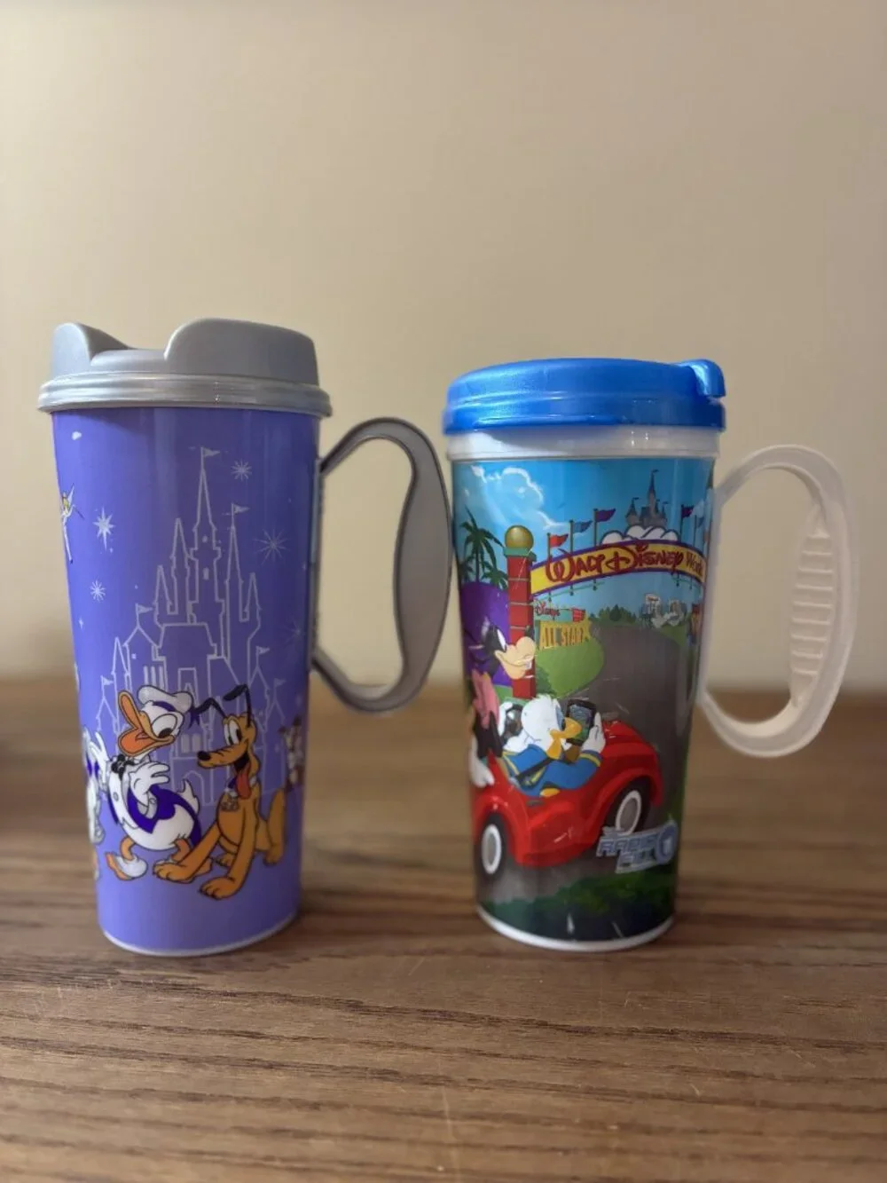 Disney walt world