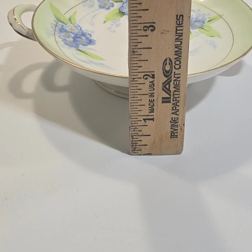 P.T. Bavaria Tirschenreuth hand painted
