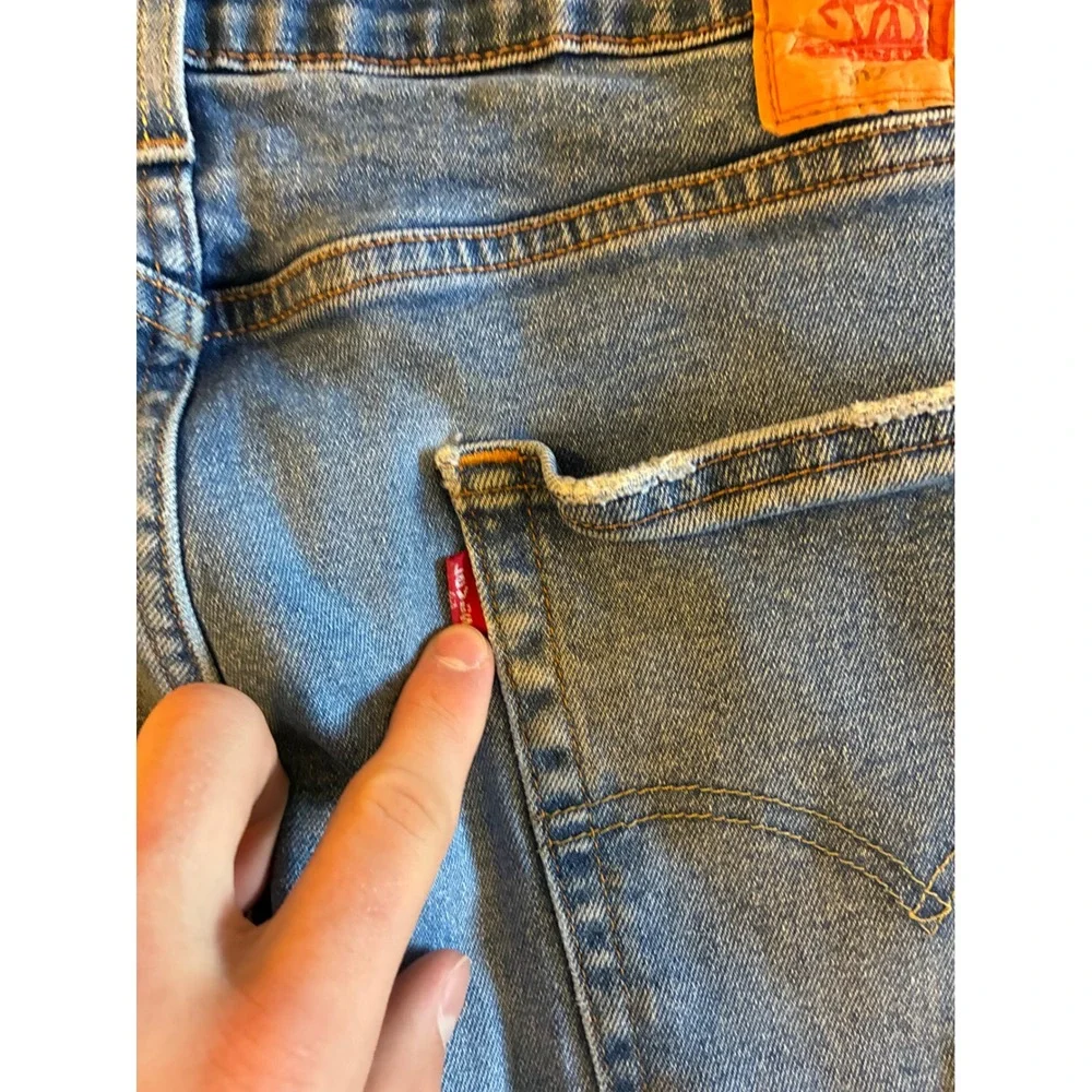 Levis levi strauss