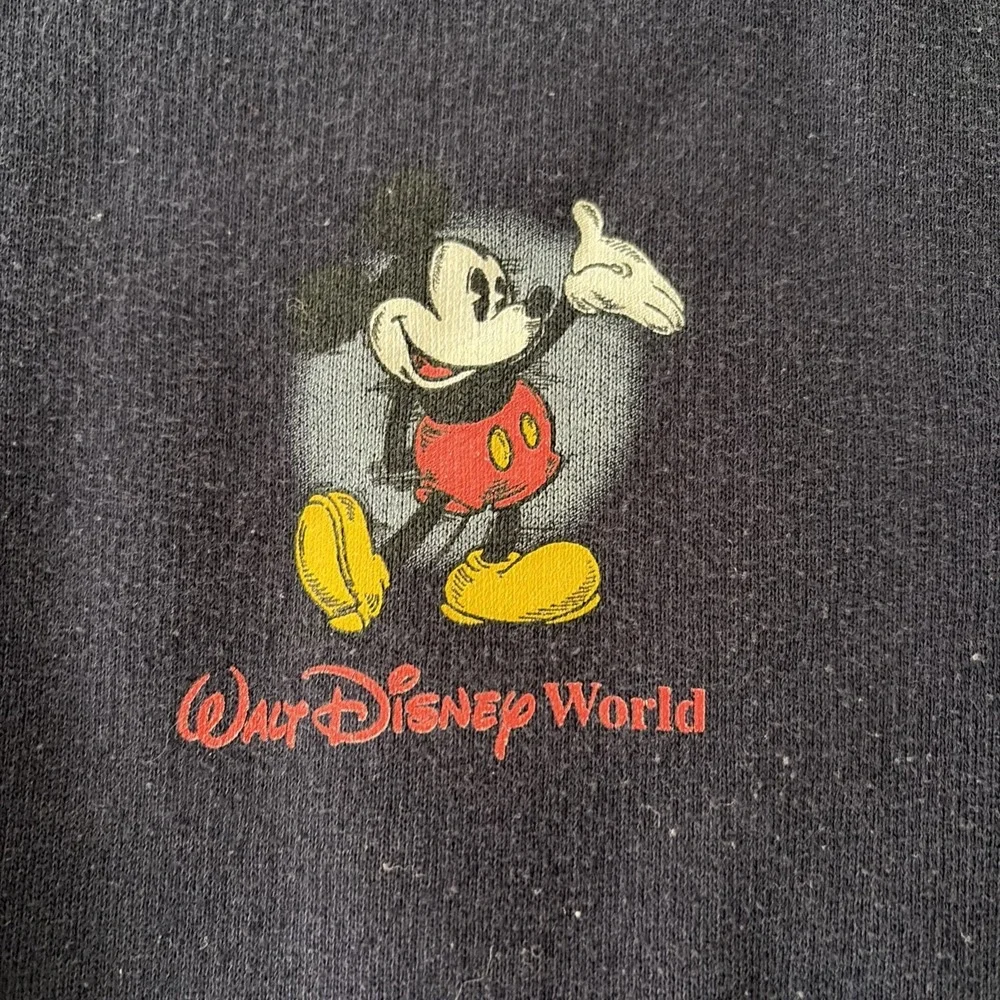 Disney walt world
