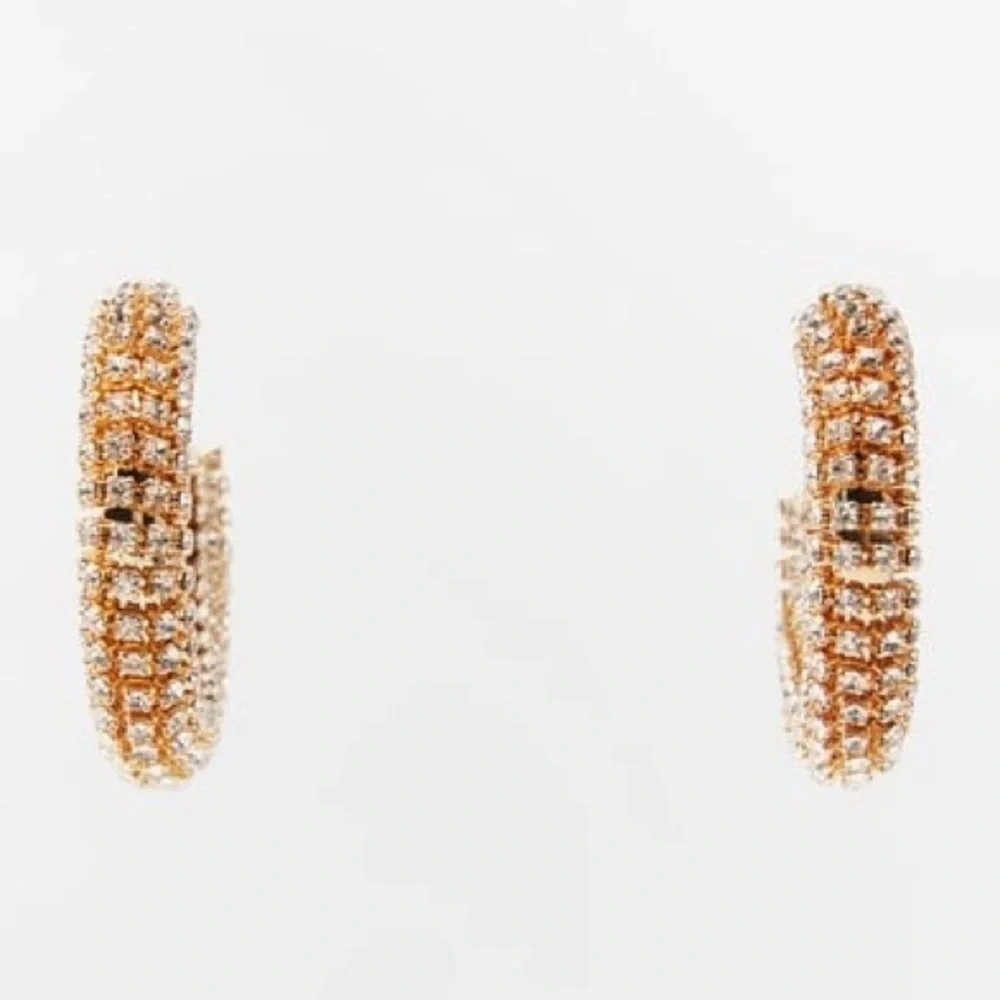 Zara nwt jewel
