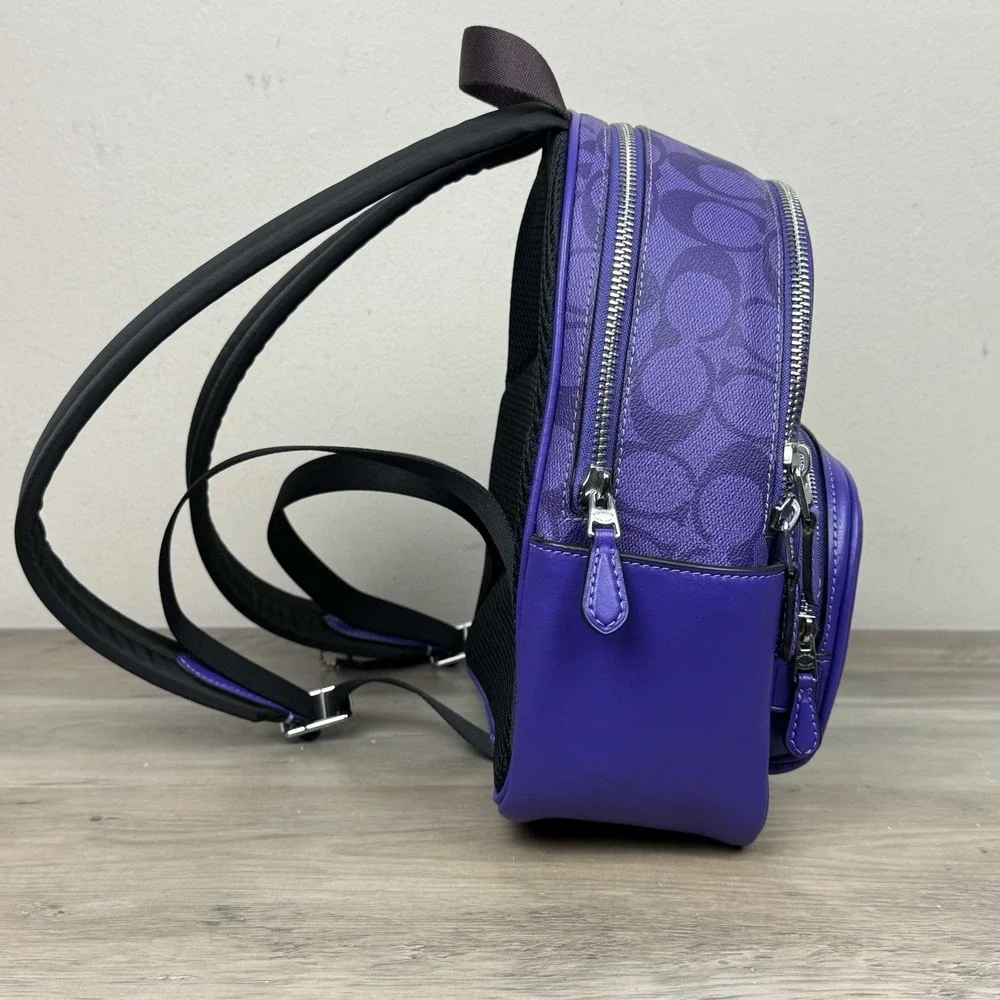 Coach mini court