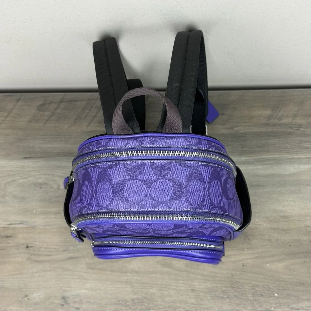 Coach mini court