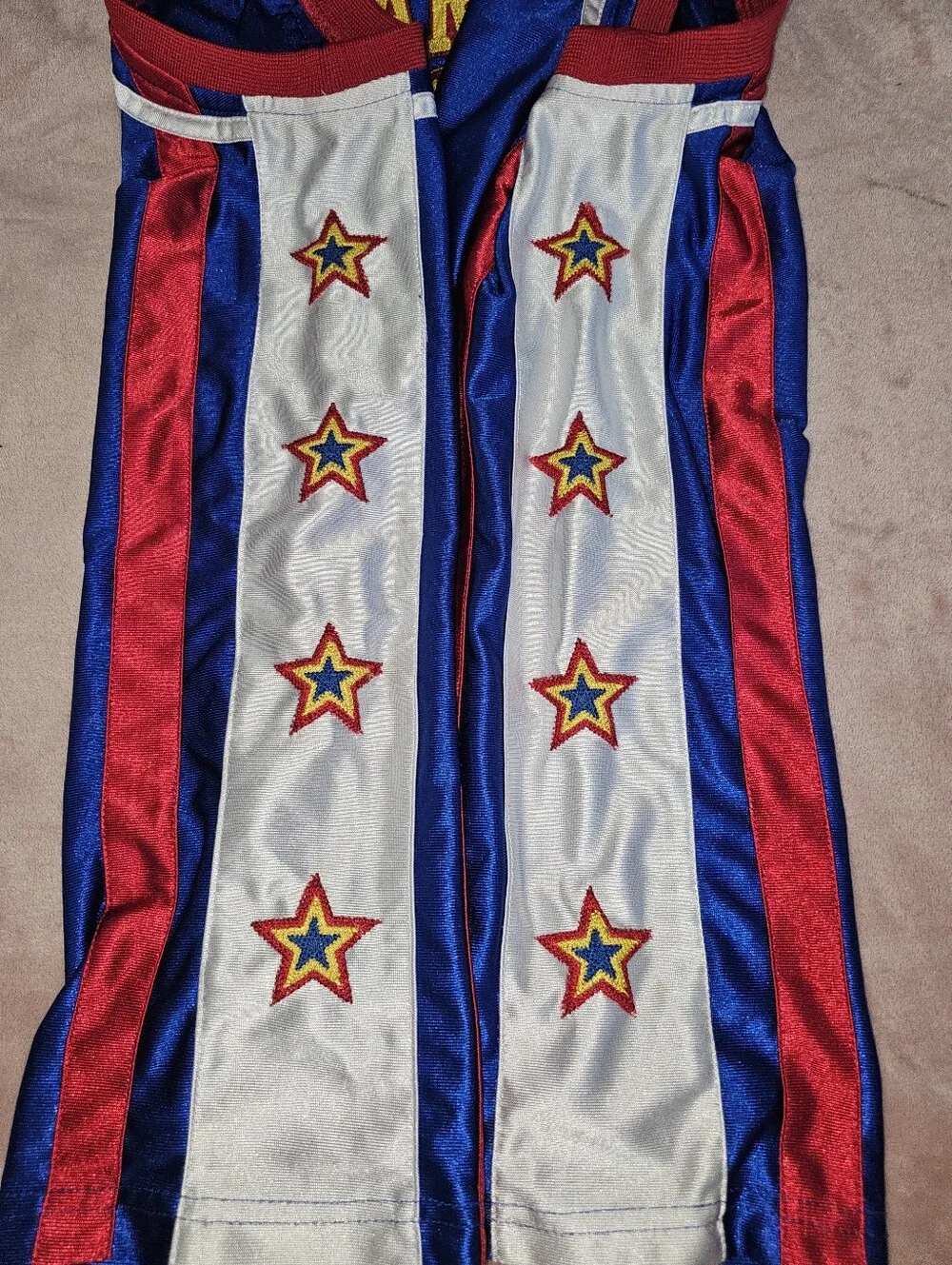 Harlem Globetrotters this harlem