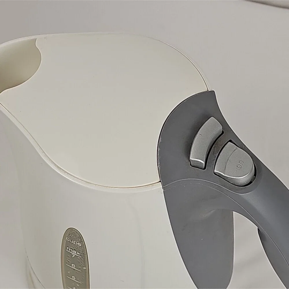 Braun electric water
