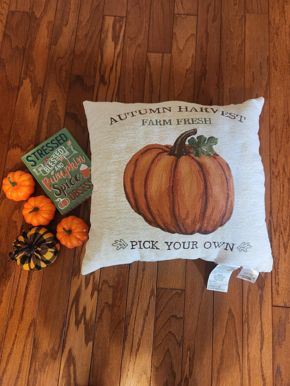 Autumn Harvest Pumpkin Pillow & fall Decor Bundle