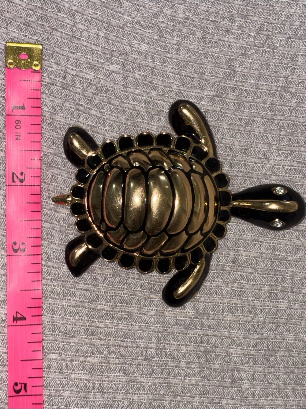 N/A elegant turtle