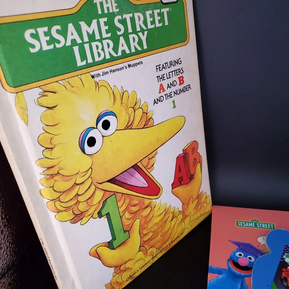 Children lot of 6 books 2 board, Nascar, Disney Princess, Sesame Street hardback