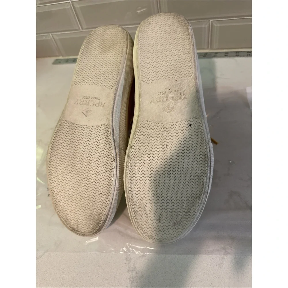 Sperry men striper