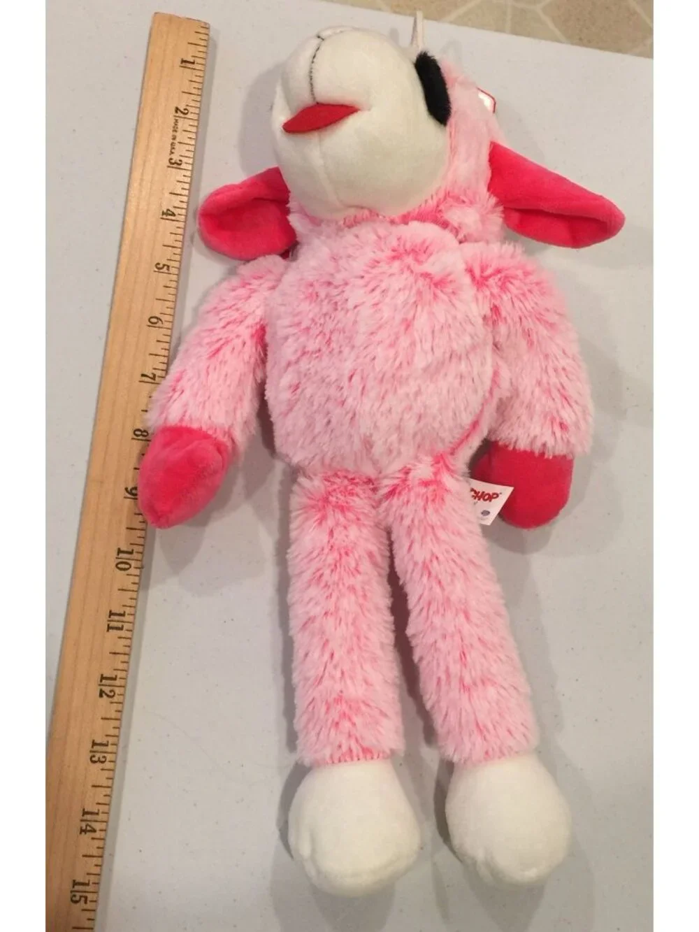 Lamb Chop lamb chop