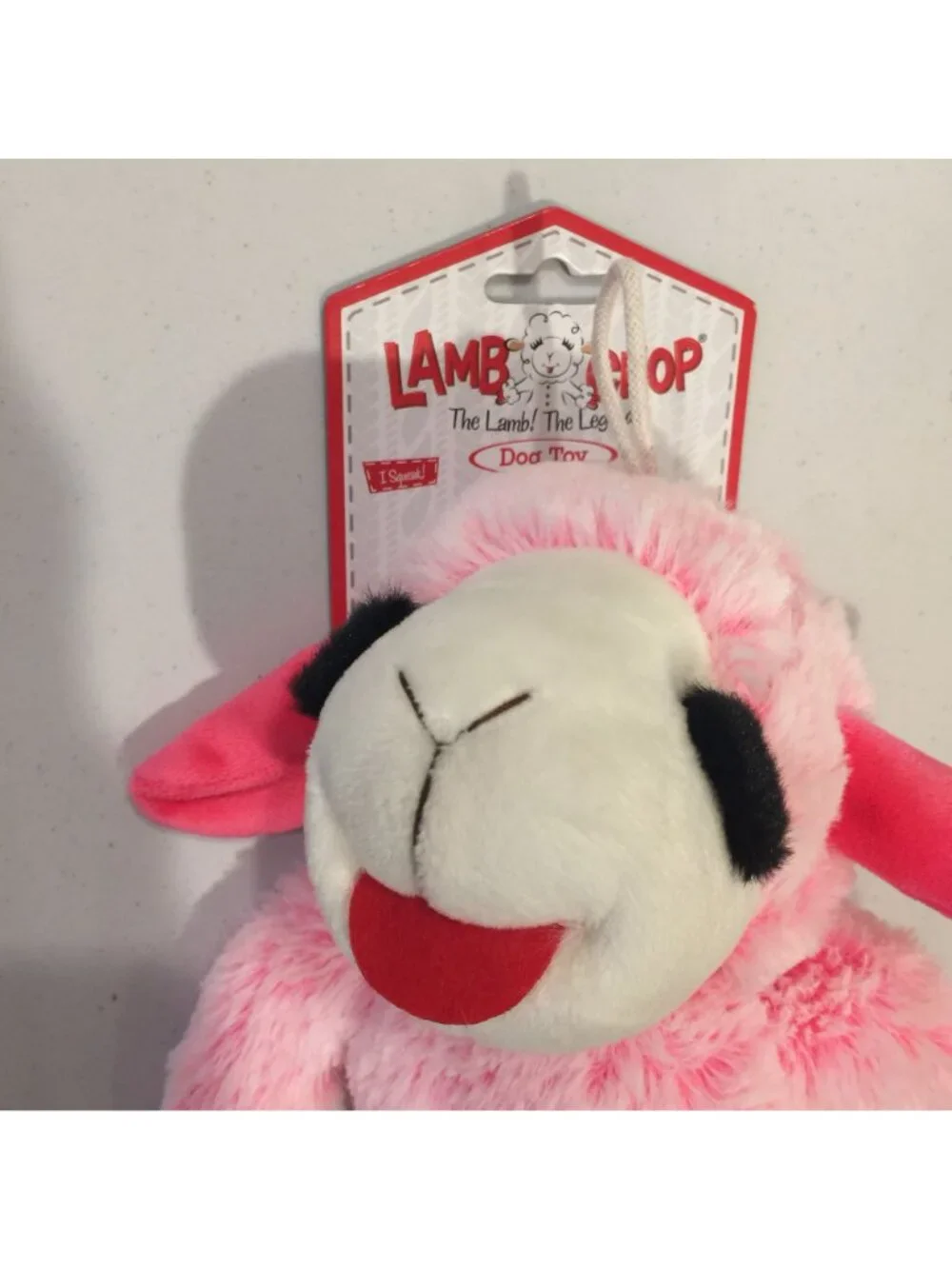 Lamb Chop lamb chop