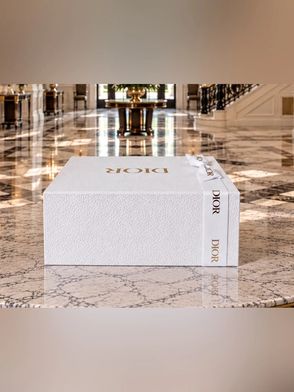 Dior christian gift