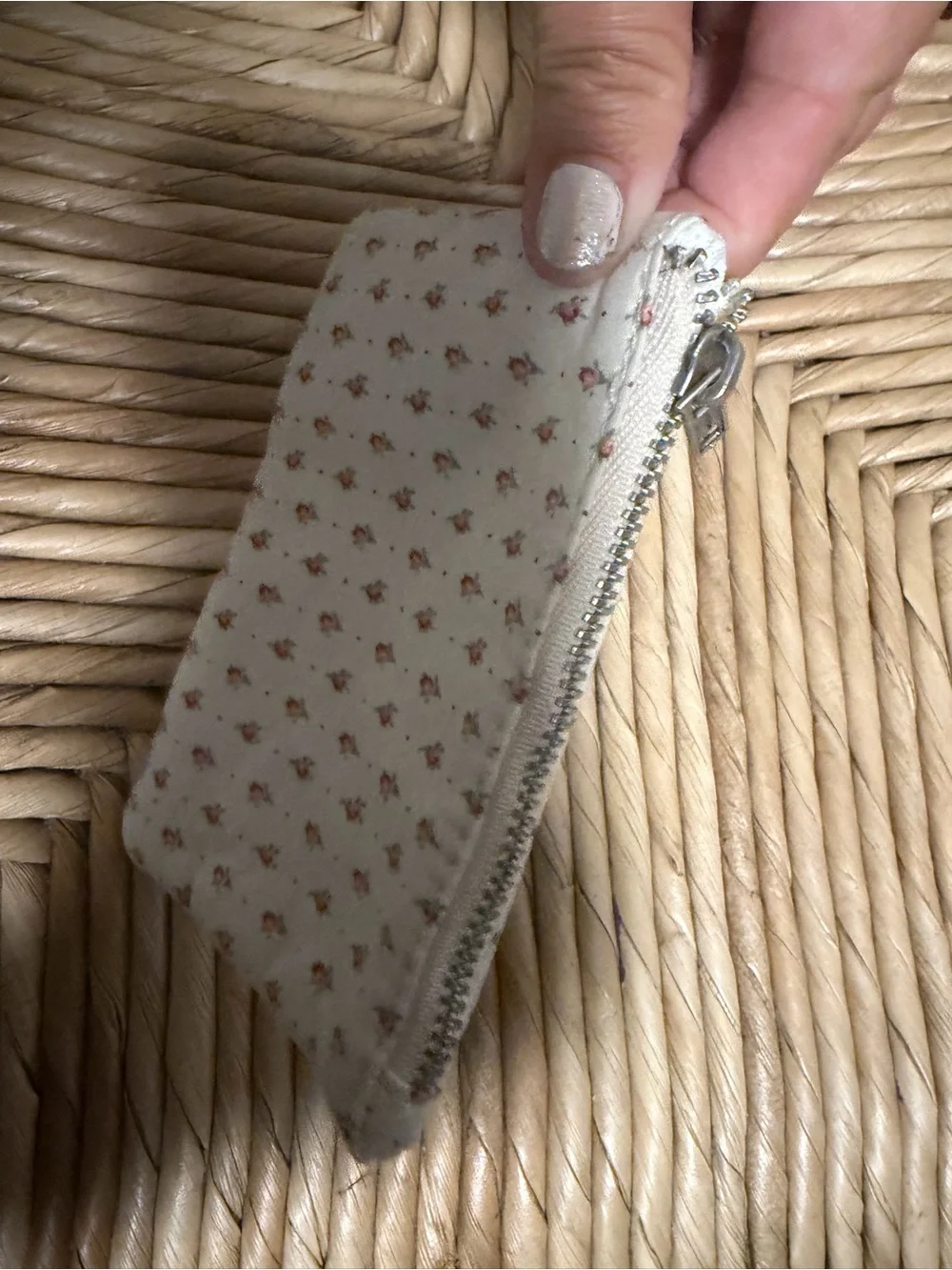 John Galt/Brandy Melville flowers Coin Purse