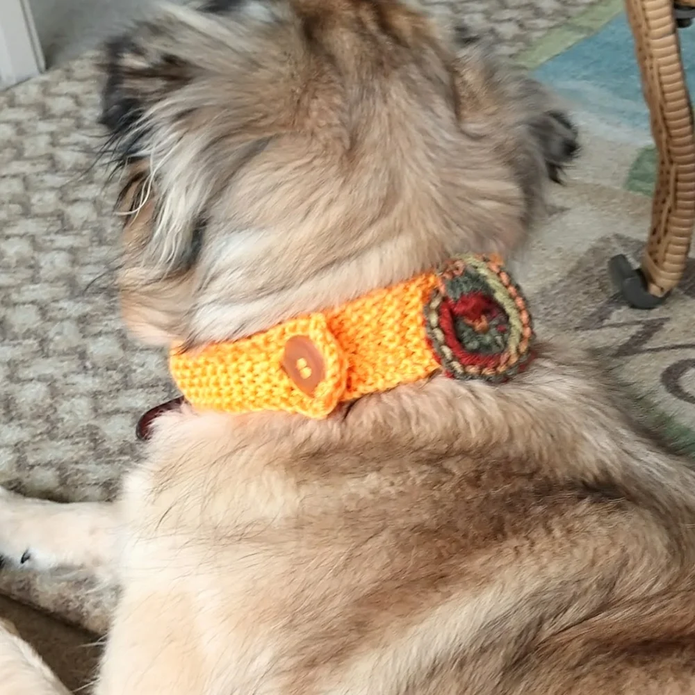Hand Crafted purchasing look collar