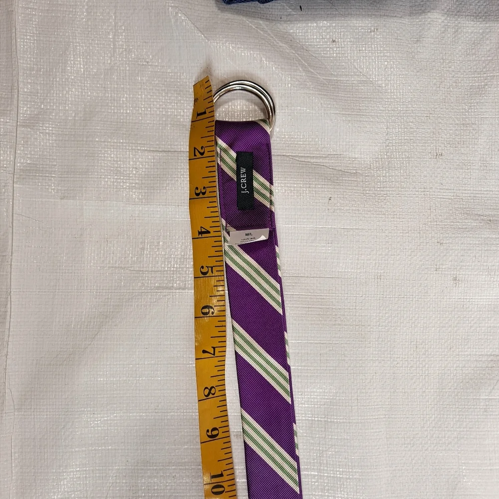 J. Crew Purple And Green Stripe Silk Tie Double D Ring Belt