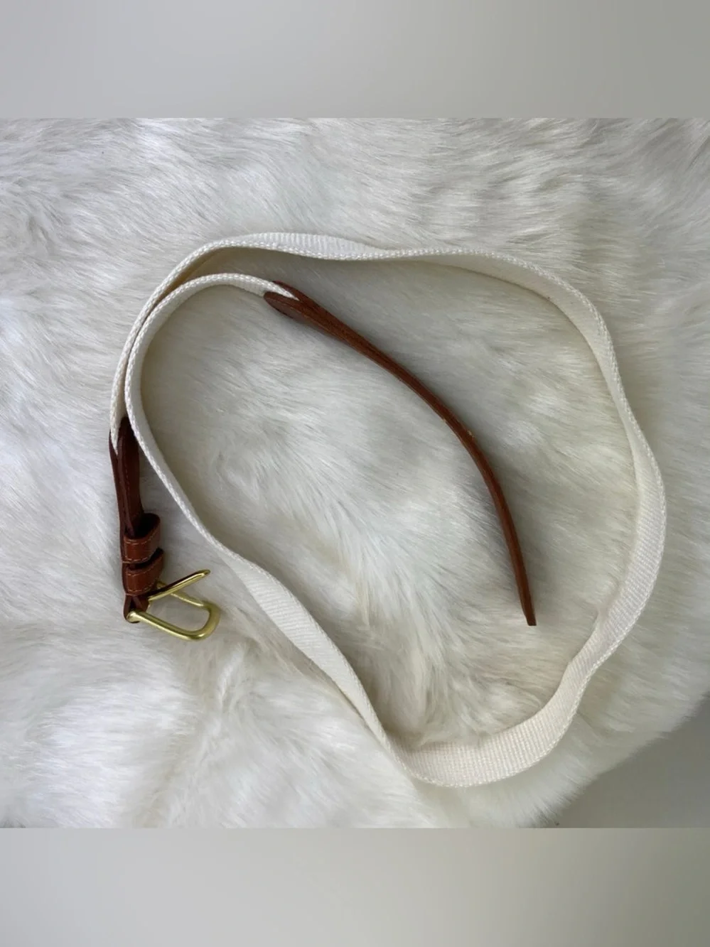 Coach women belt