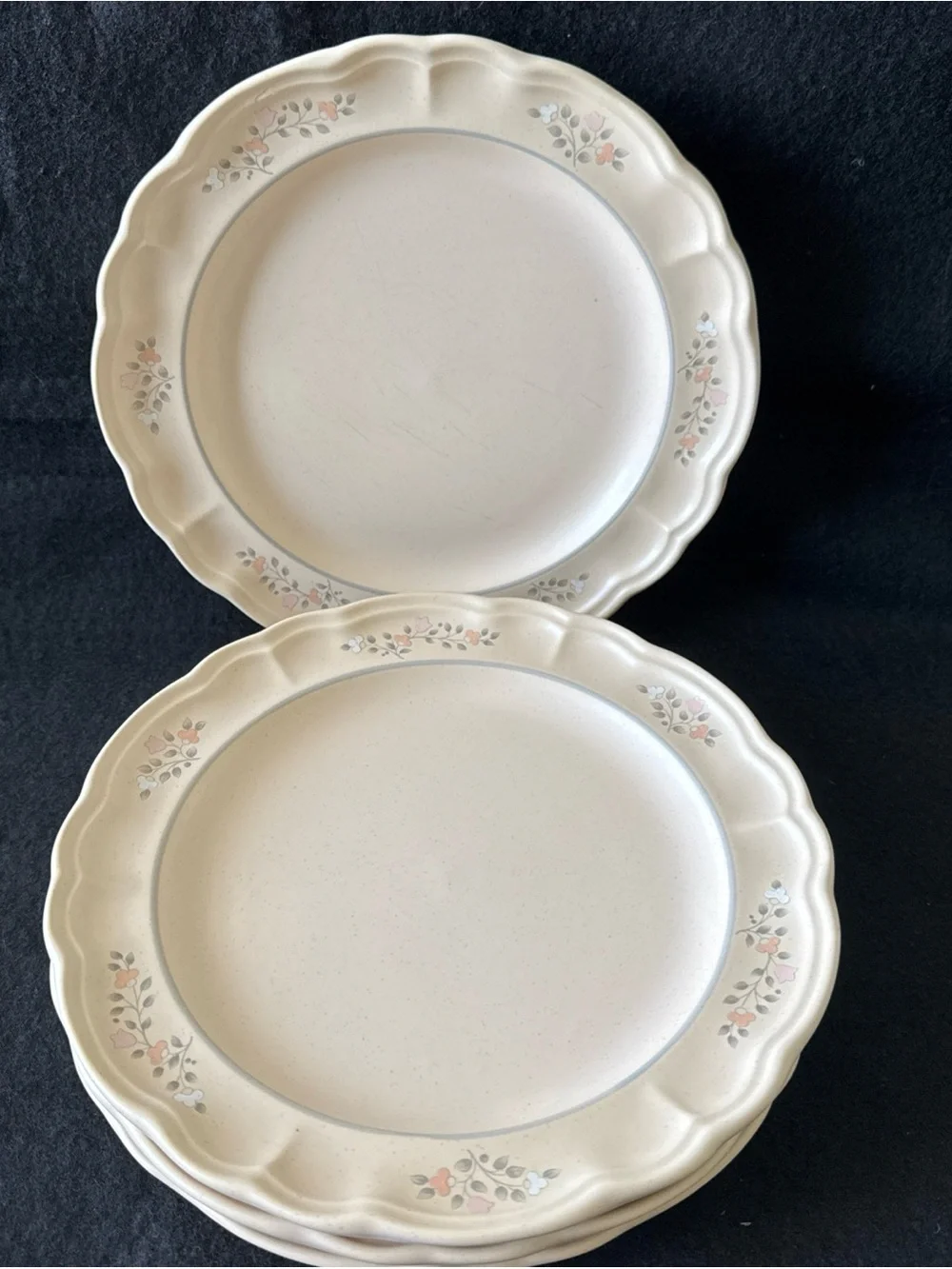Pfaltzgraff Remembrance USA Stoneware 10.25