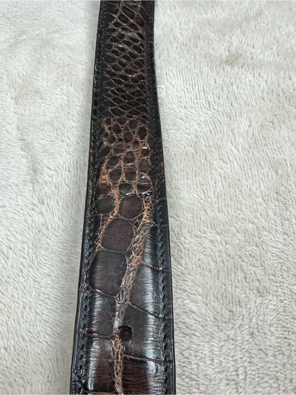 Crookhorn genuine alligator