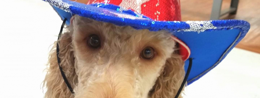 Cowgirl Amelia